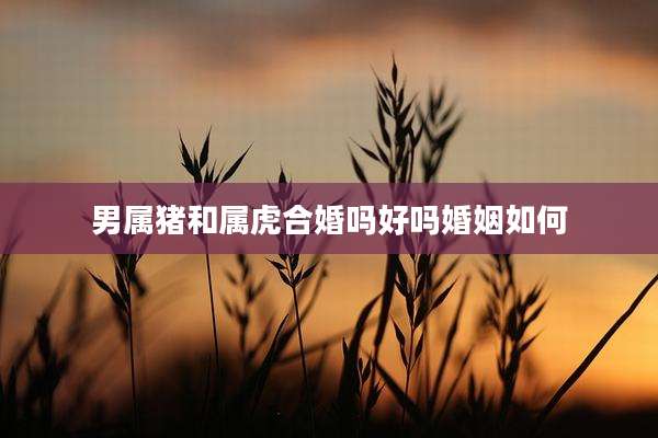 男属猪和属虎合婚吗好吗婚姻如何