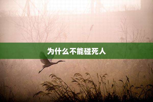 为什么不能碰死人