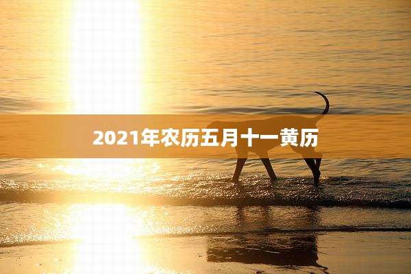 2021年农历五月十一黄历