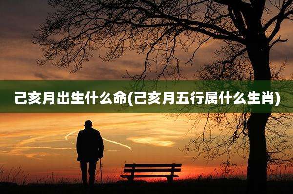 己亥月出生什么命(己亥月五行属什么生肖)
