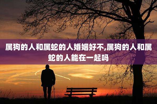属狗的人和属蛇的人婚姻好不,属狗的人和属蛇的人能在一起吗