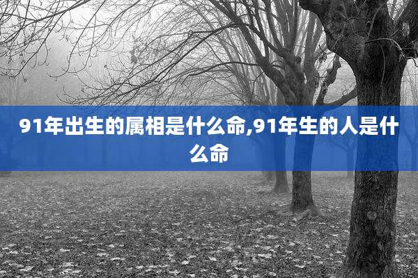91年出生的属相是什么命,91年生的人是什么命