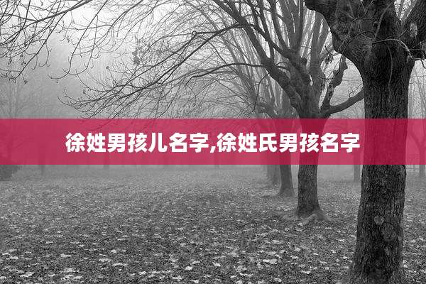 徐姓男孩儿名字,徐姓氏男孩名字