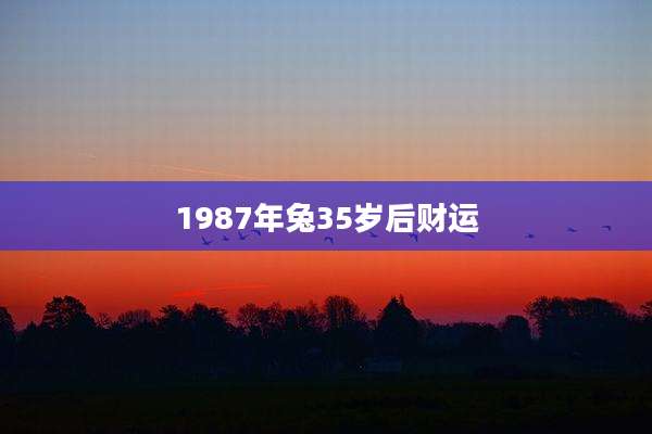 1987年兔35岁后财运