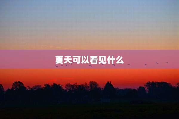 夏天可以看见什么