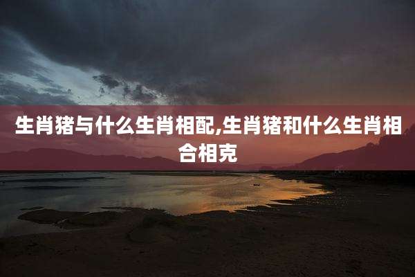 生肖猪与什么生肖相配,生肖猪和什么生肖相合相克