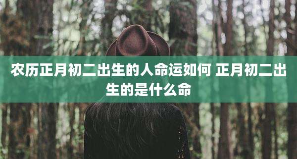 农历正月初二出生的人命运如何 正月初二出生的是什么命