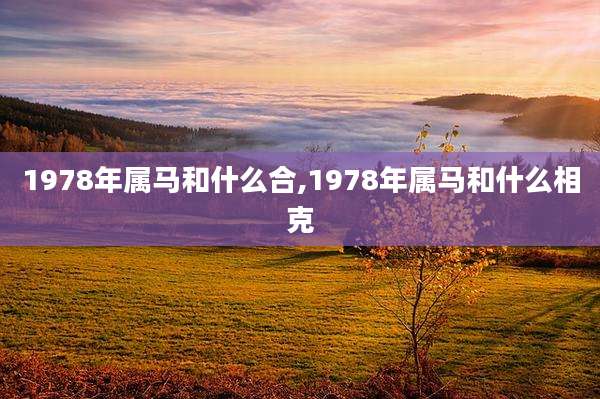 1978年属马和什么合,1978年属马和什么相克