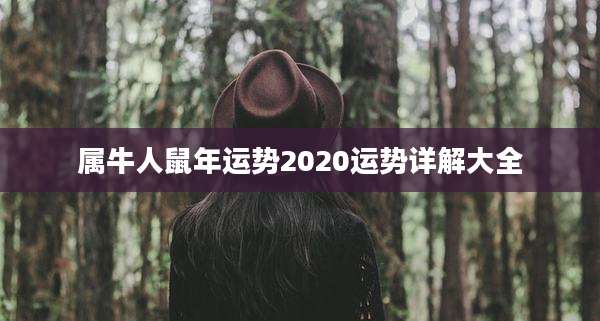 属牛人鼠年运势2020运势详解大全