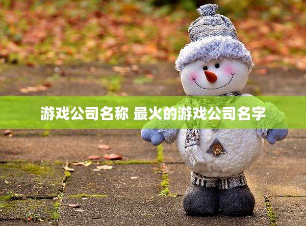 游戏公司名称 最火的游戏公司名字