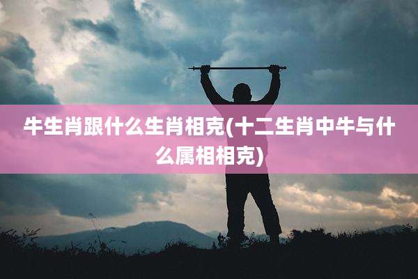 牛生肖跟什么生肖相克(十二生肖中牛与什么属相相克)