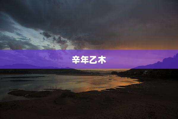 辛年乙木