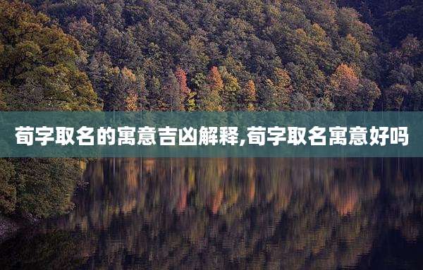 荀字取名的寓意吉凶解释,荀字取名寓意好吗