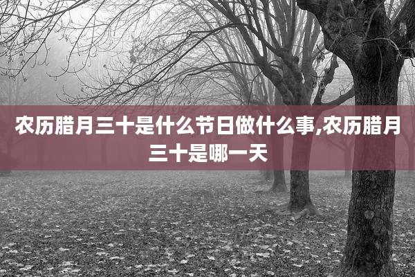 农历腊月三十是什么节日做什么事,农历腊月三十是哪一天