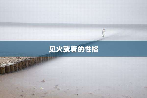 见火就着的性格