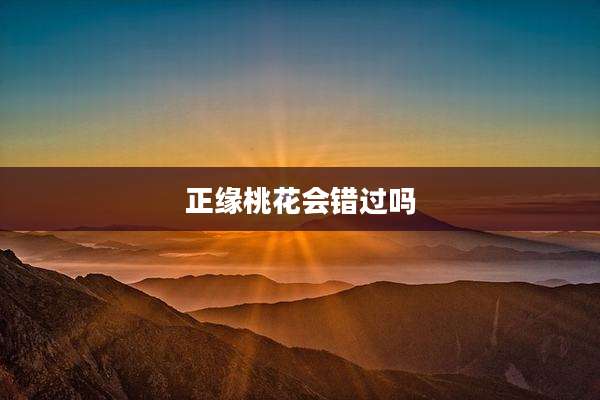 正缘桃花会错过吗