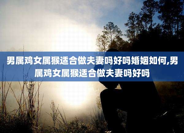 男属鸡女属猴适合做夫妻吗好吗婚姻如何,男属鸡女属猴适合做夫妻吗好吗