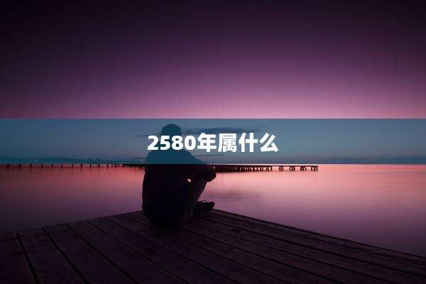 2580年属什么