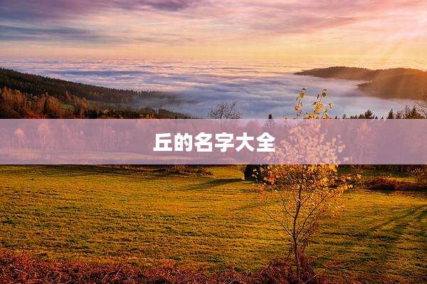 丘的名字大全