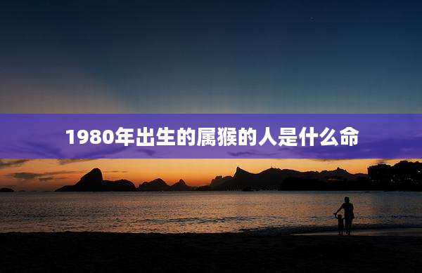 1980年出生的属猴的人是什么命