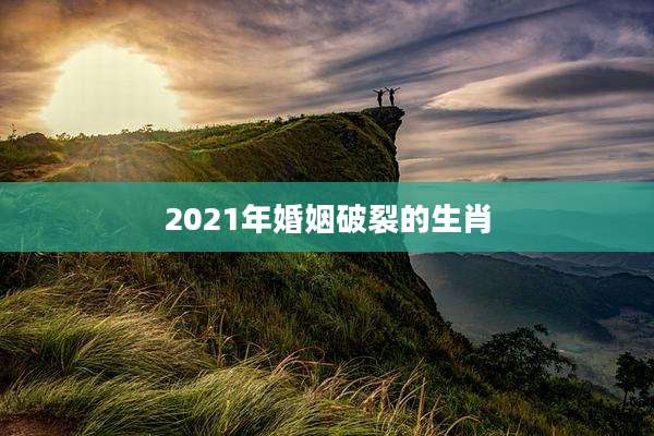 2021年婚姻破裂的生肖