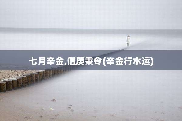 七月辛金,值庚秉令(辛金行水运)