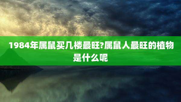 1984年属鼠买几楼最旺?属鼠人最旺的植物是什么呢