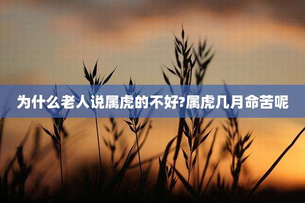 为什么老人说属虎的不好?属虎几月命苦呢