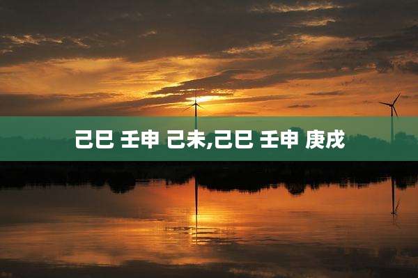 己巳 壬申 己未,己巳 壬申 庚戌