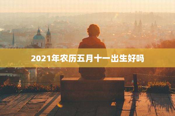 2021年农历五月十一出生好吗