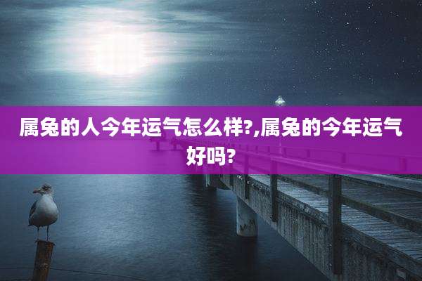 属兔的人今年运气怎么样?,属兔的今年运气好吗?