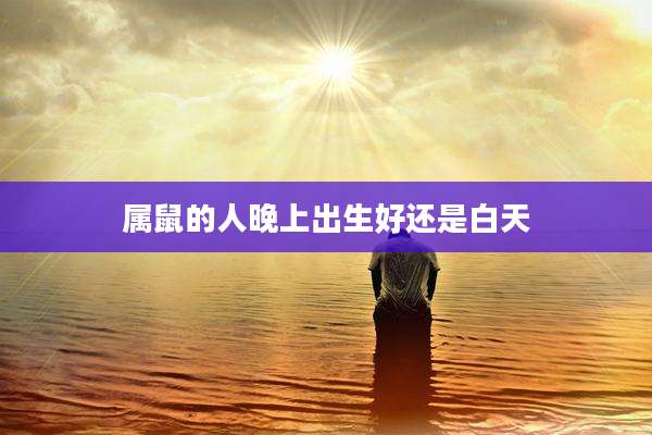 属鼠的人晚上出生好还是白天