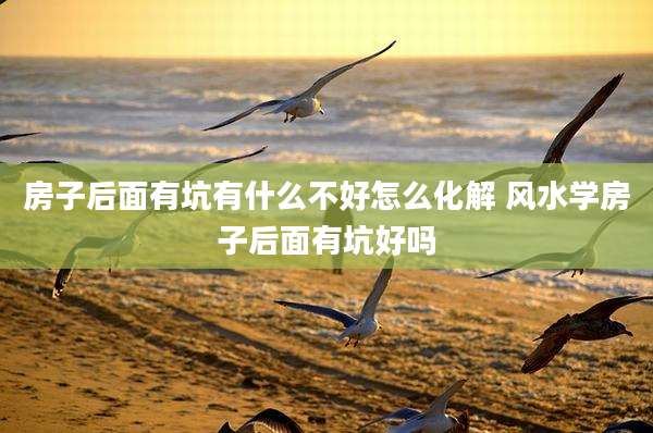 房子后面有坑有什么不好怎么化解 风水学房子后面有坑好吗
