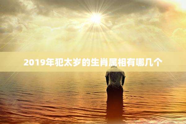 2019年犯太岁的生肖属相有哪几个
