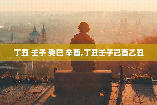 丁丑 壬子 癸巳 辛酉,丁丑壬子己酉乙丑