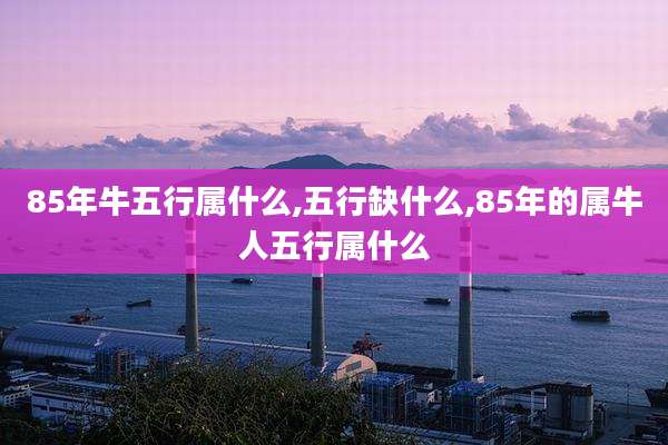 85年牛五行属什么,五行缺什么,85年的属牛人五行属什么