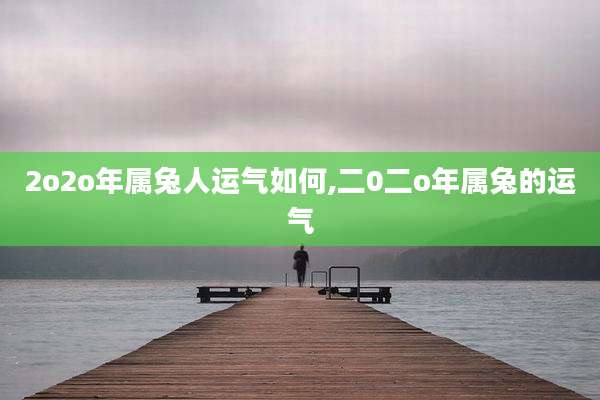 2o2o年属兔人运气如何,二0二o年属兔的运气