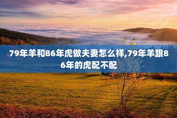 79年羊和86年虎做夫妻怎么样,79年羊跟86年的虎配不配