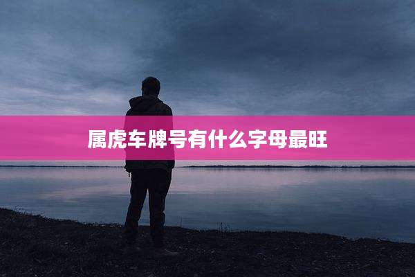 属虎车牌号有什么字母最旺
