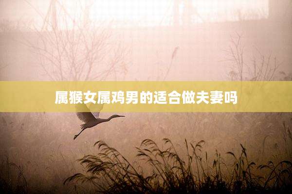 属猴女属鸡男的适合做夫妻吗
