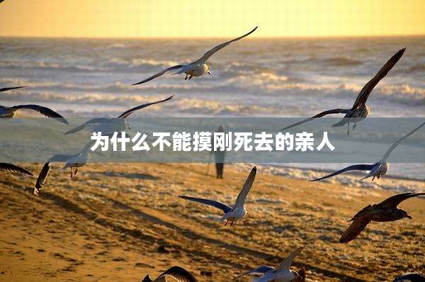 为什么不能摸刚死去的亲人