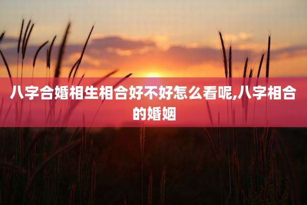 八字合婚相生相合好不好怎么看呢,八字相合的婚姻