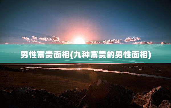男性富贵面相(九种富贵的男性面相)