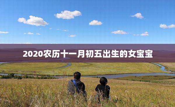 2020农历十一月初五出生的女宝宝
