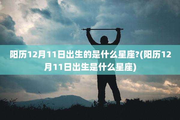 阳历12月11日出生的是什么星座?(阳历12月11日出生是什么星座)