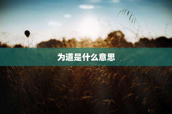 为道是什么意思