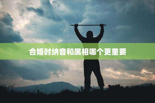 合婚时纳音和属相哪个更重要