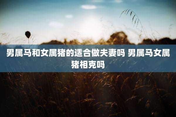 男属马和女属猪的适合做夫妻吗 男属马女属猪相克吗