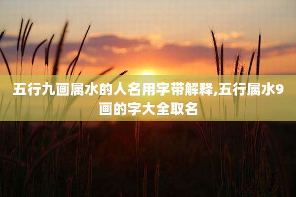 五行九画属水的人名用字带解释,五行属水9画的字大全取名