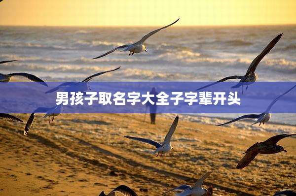 男孩子取名字大全子字辈开头